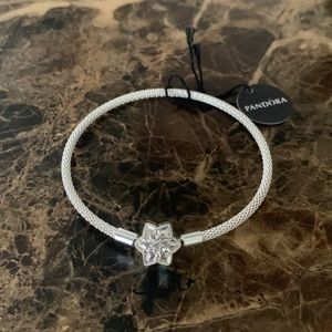 New Pandora Shine Bright Snowflake Charm Bracelet Silver Mesh Bangle S925 ALE